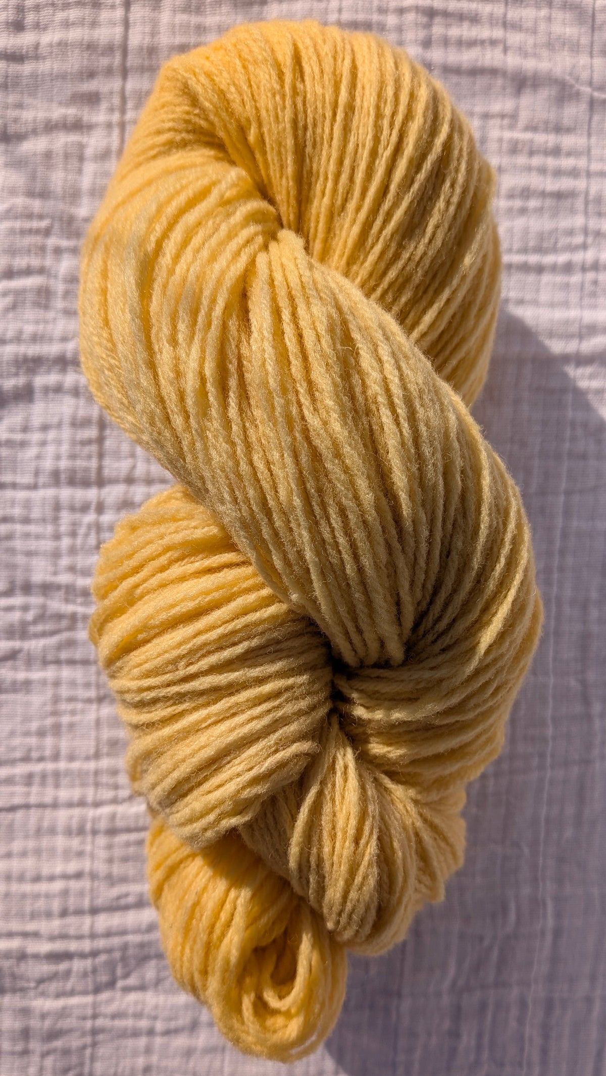 Echeveau pure laine jaune 